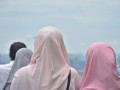 Tn UKM 1774